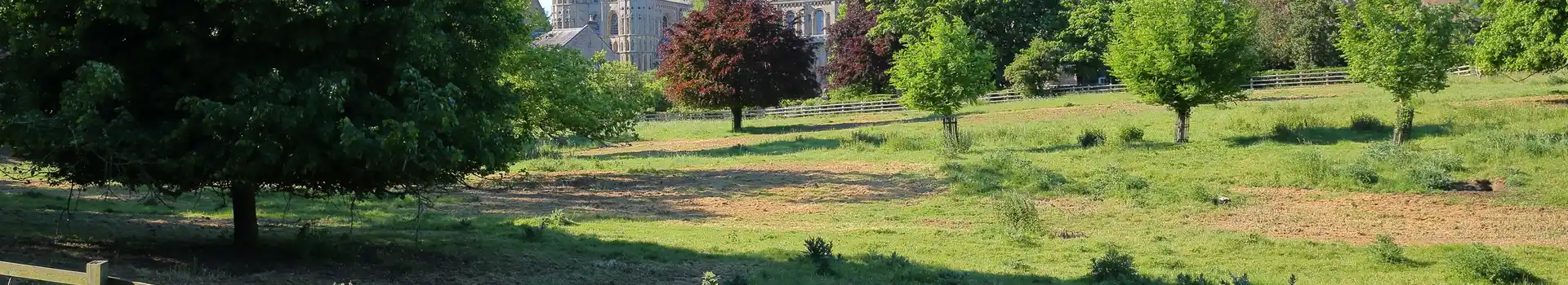East of England campsites