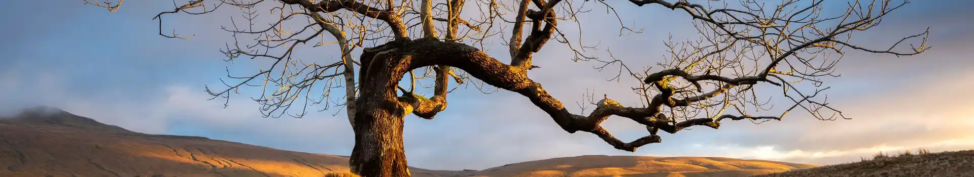Campervan and motorhome sites in the Yorkshire Dales