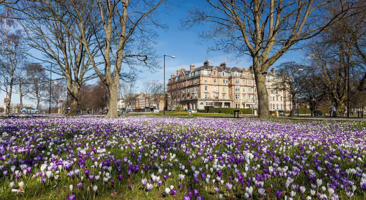 Harrogate campervan and motorhome sites