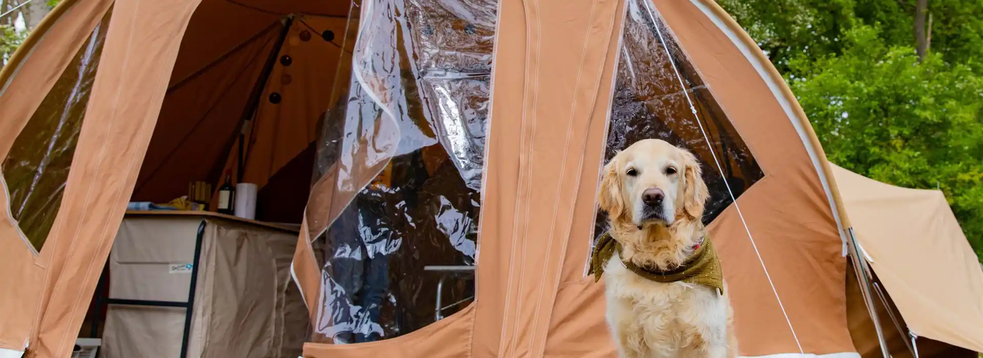 Campsites in Northumberland