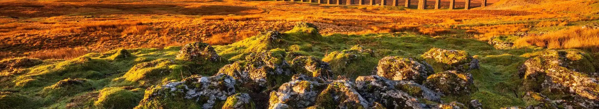 Campsites in Yorkshire Dales