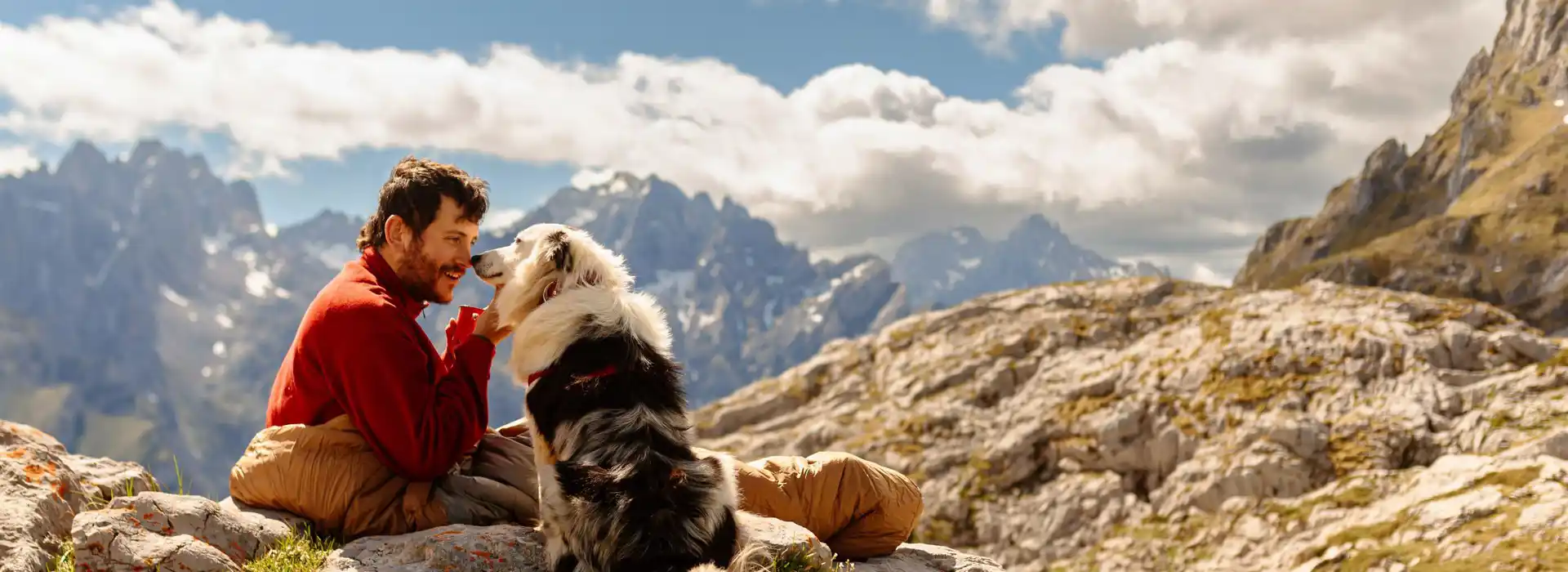 Dog friendly camping pods near me