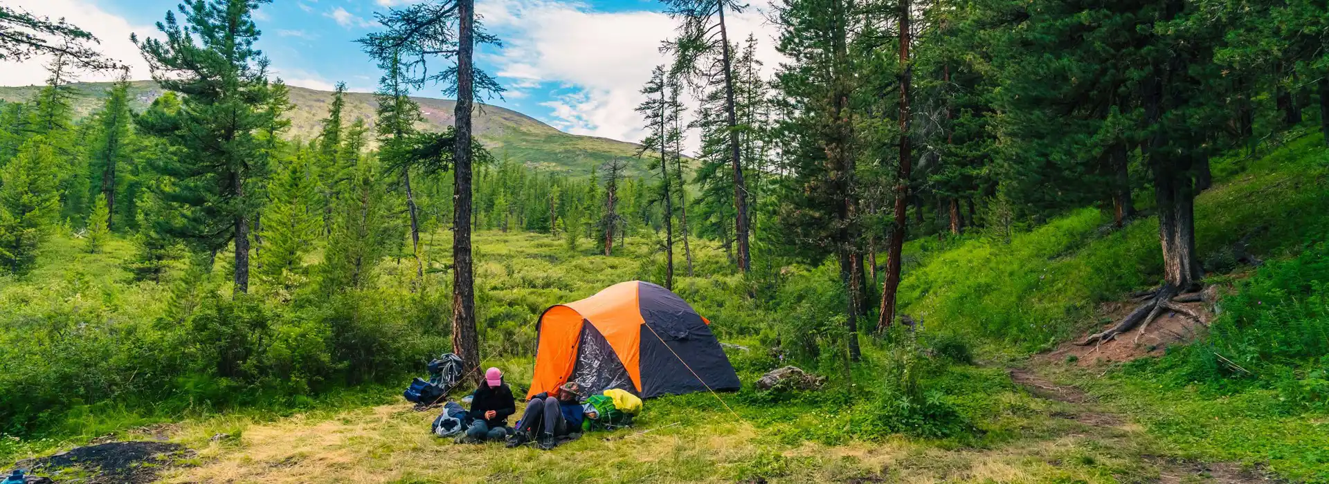Woodland and forest campsites near me
