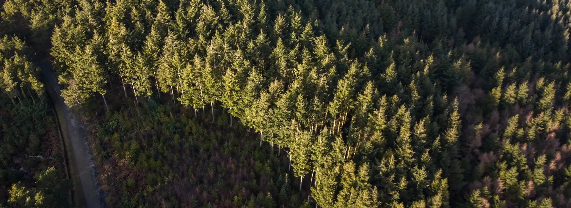 Campsites near Haldon Forest