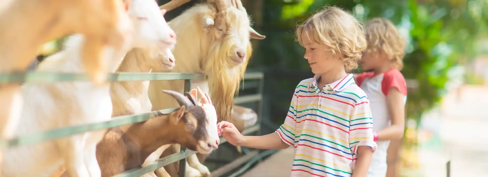Dalscone Farm Fun