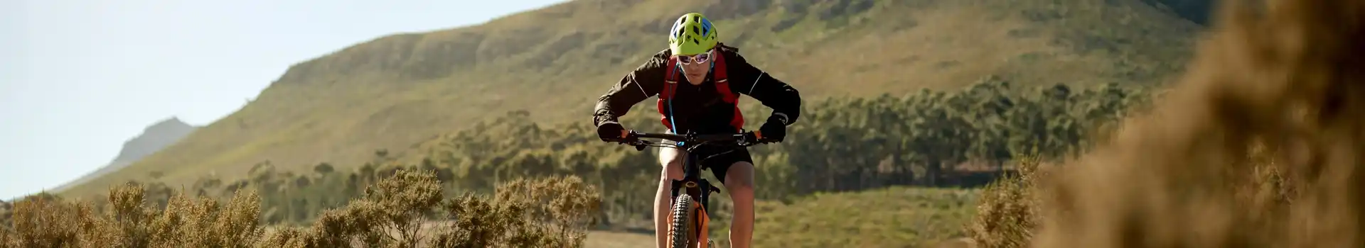 Dyfi Bike Park