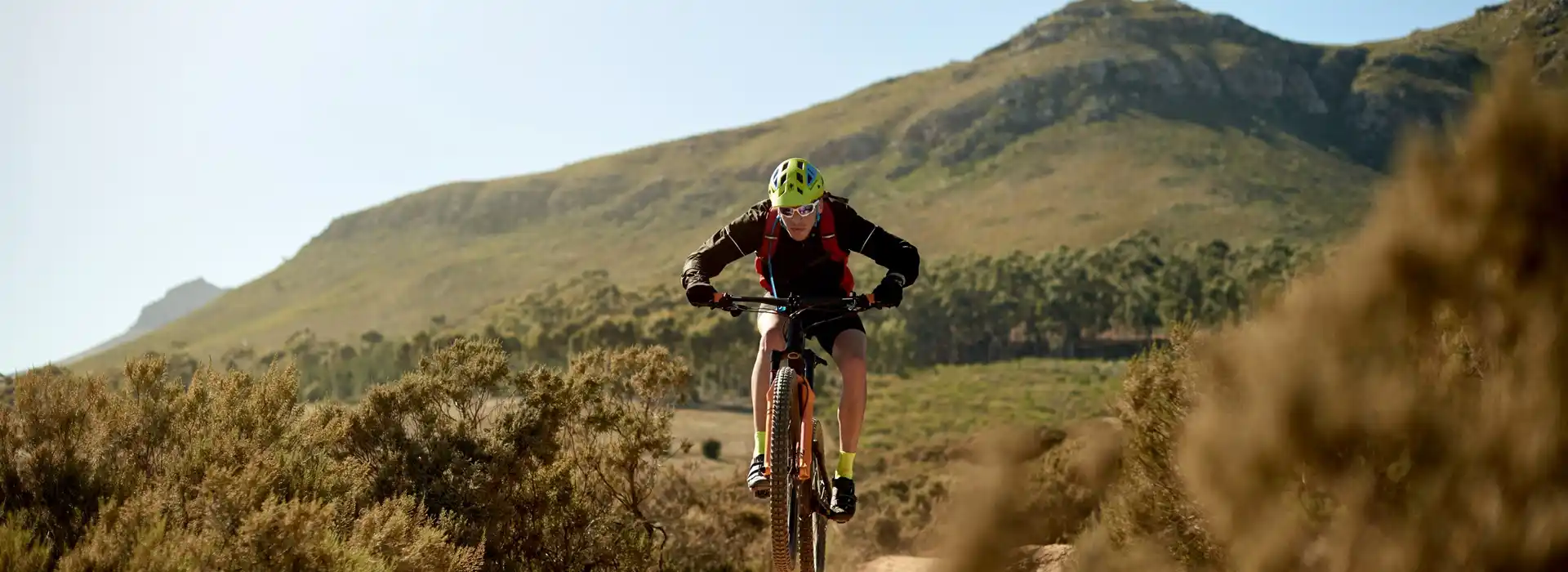 Dyfi Bike Park
