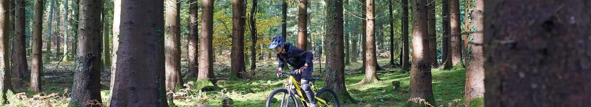 Forest of Dean Cycle Centre