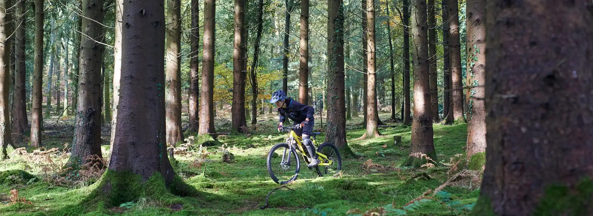 Forest of Dean Cycle Centre