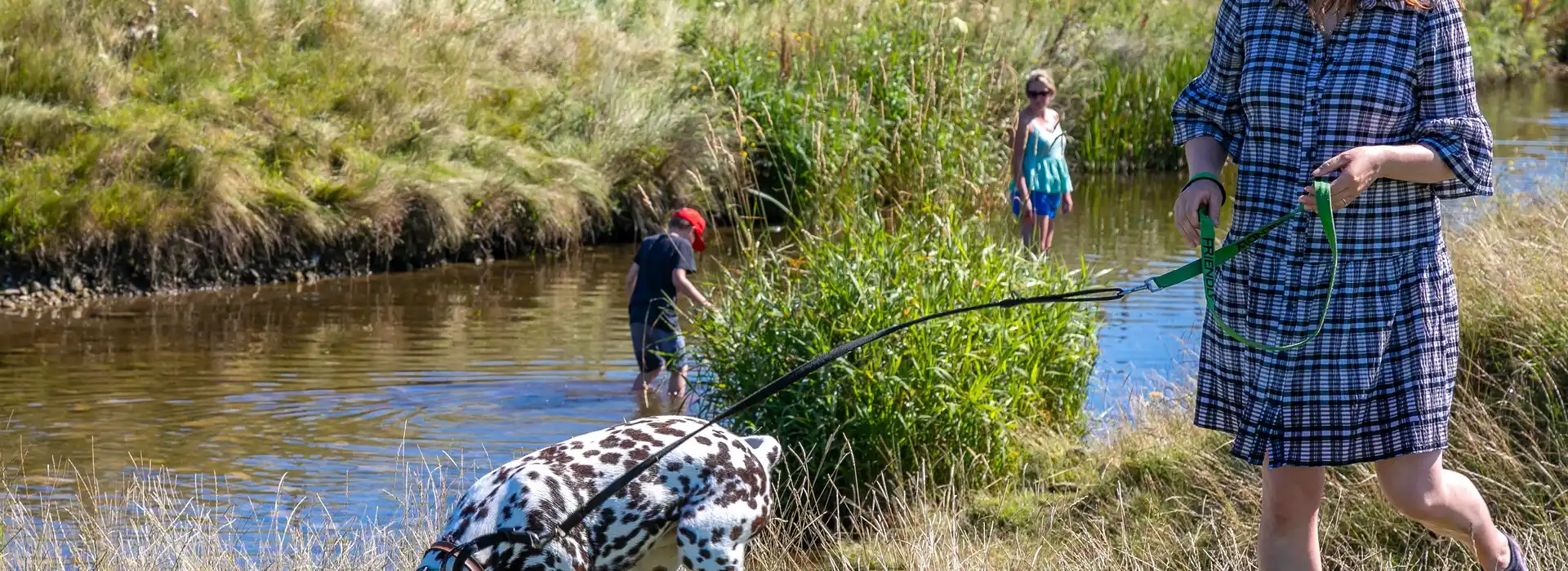 Campsites with enclosed dog areas in Yorkshire