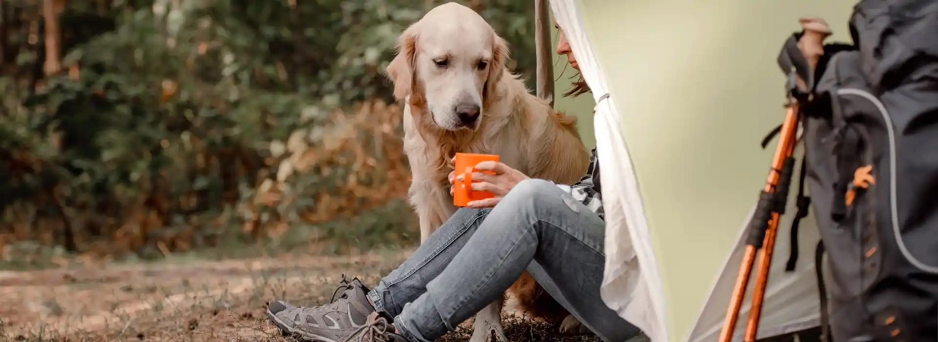 Dog friendly campsites in the Forest of Dean and Wye Valley