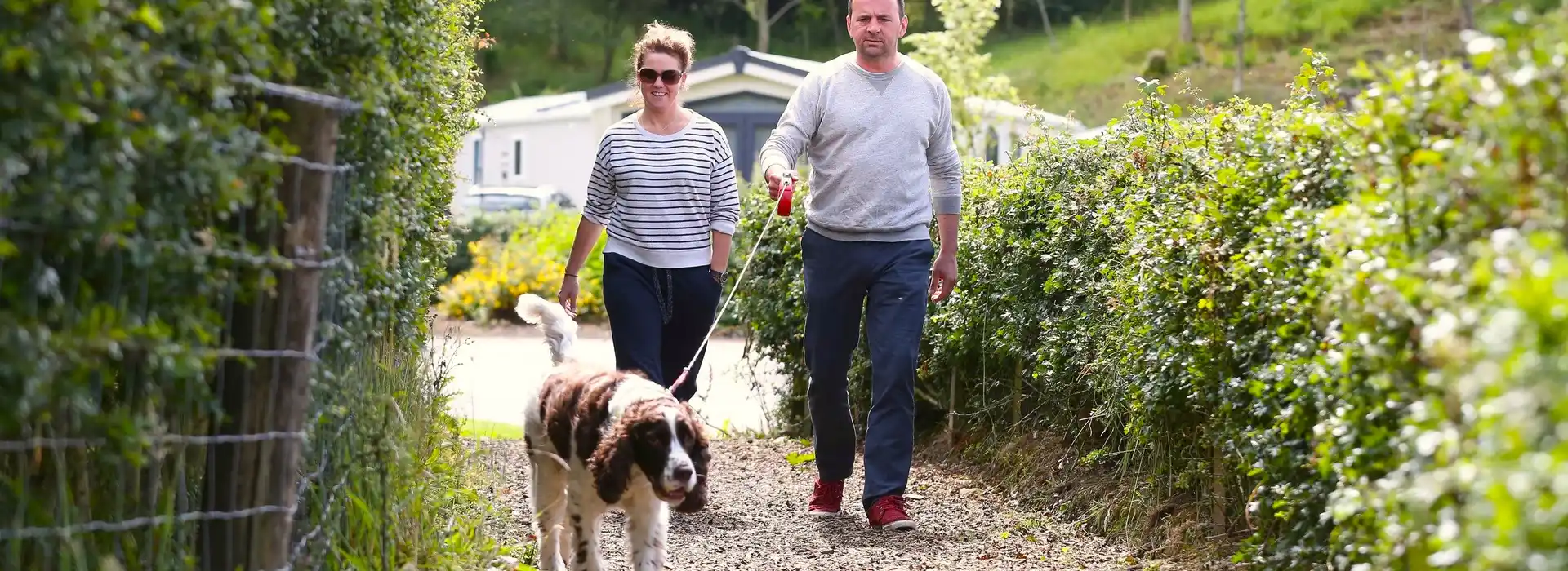 Dog friendly campsites in Yorkshire Dales