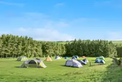 Grass Camping Pitches at Breaks Fold Farm Glamping and Camping