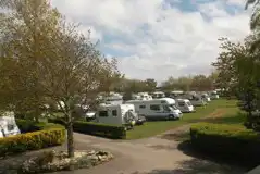 Grass Pitches at Acorn Camping and Caravanning Park