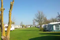 Grass Pitches at Orchard View Caravan and Camping Park