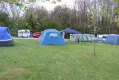 Grass Pitches at Riddings Wood Caravan and Camping Park