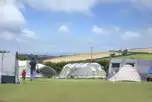 Non Electric Grass Pitches at Bude Camping and Caravanning Club Site