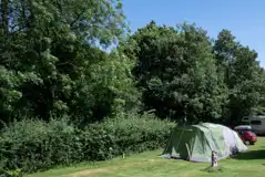 Non Electric Grass Pitches at Crowborough Camping and Caravanning Club Site