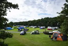 Non Electric Grass Pitches at Dunstan Hill Camping and Caravanning Club Site
