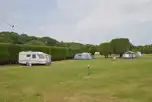 Electric Grass Pitches at Kessingland Camping and Caravanning Club Site