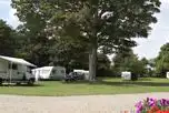 Non Electric Grass Pitches at Norwich Camping and Caravanning Club Site