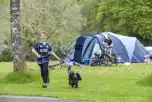 Non Electric Grass Pitches at Oban Camping and Caravanning Club Site