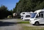 Electric Hardstanding Pitches at Delamere Forest Camping and Caravanning Club Site