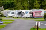 Electric Hardstanding Pitches at Delamont Country Park Camping and Caravanning Club Site