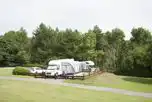 Electric Hardstanding Pitches at Minehead Camping and Caravanning Club Site