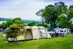 XL Grass Pitches with Optional Electric  at Andrewshayes Holiday Park