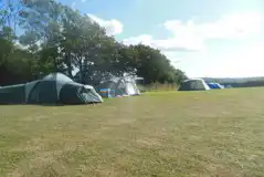 Electric Pitches at Holsome Park Camping