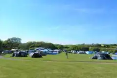 Non Electric Grass Pitches at Woodyhyde Campsite