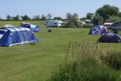 Non Electric Grass Pitches  at Field Farm Fisheries