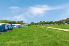 Grass Pitches (Optional Electric) at Court Farm Campsite