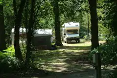 Electric Pitches at Wellington Country Park