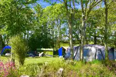 Non Electric Grass Pitches at Silver Sands Holiday Park