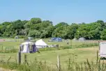 Small Electric Grass Pitches at Norden Farm Campsite