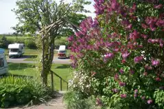 Electric Hardstanding Pitches at Golden Square Caravan Park