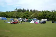 Non Electric Grass Pitches at Forest Glade Holiday Park