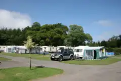 Fully Serviced Hardstanding Pitches at Forest Glade Holiday Park