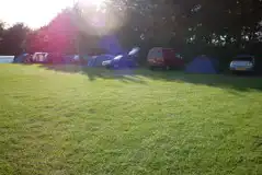 Camping Pitches at Pinewood Park