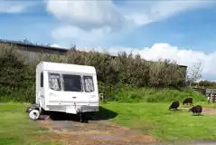 Hardstanding Pitches (Optional Electric) at Higher Cheristow Farm Camping