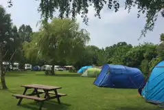 Electric Grass Tent Pitches at Long Hazel Park