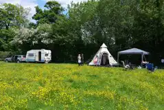 Non Electric Strawberry Field Pitches at Dunn Street Farm