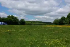 Non Electric Brocks' Paddock Pitches at Dunn Street Farm