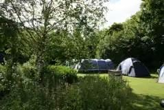 Camping at Waters Edge Caravan Park