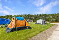 Standard Grass Pitches at Woodview Campsite