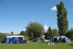 Grass Pitches at Tudor Caravan and Camping Park