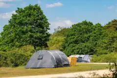 Non Electric Grass Pitches at Ashurst Campsite