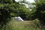 Wild Camping Pitches at Norfolk Brickyard